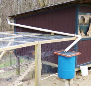 DIY Off-Grid Chicken-Watering System Image